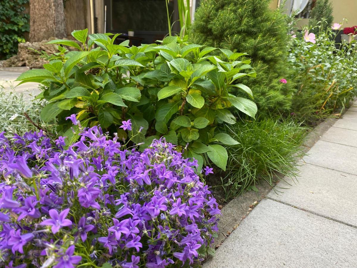 Margareta Garden Boutique Rooms Eger Exterior photo